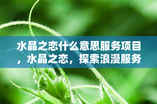 水晶之恋什么意思服务项目，水晶之恋，探索浪漫服务背后的深意