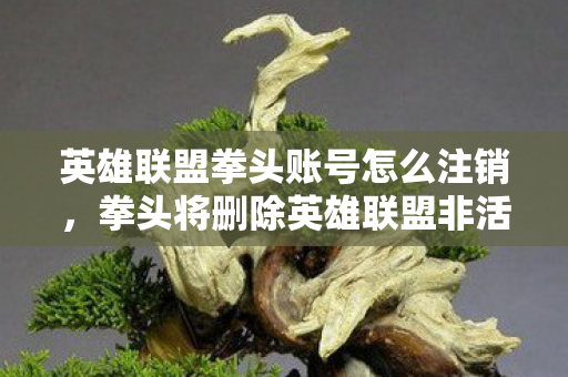 拳头将删除英雄联盟非活跃账号图片