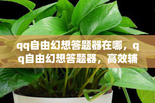 qq自由幻想答题器在哪，qq自由幻想答题器，高效辅助，助你畅游幻想世界