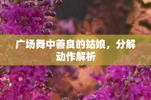 广场舞中善良的姑娘,分解动作解析 广场舞中善良的姑娘,分解动作解析