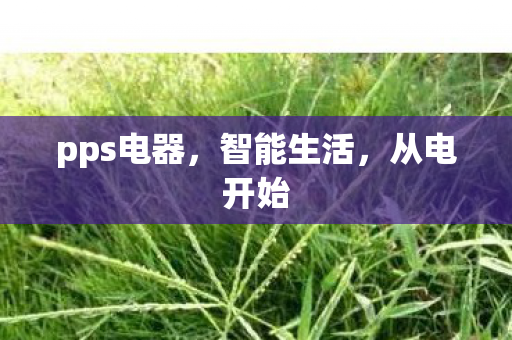 pps电器图片