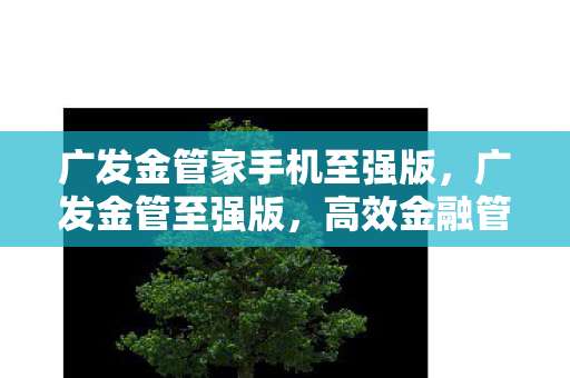广发金管家手机至强版，广发金管至强版，高效金融管理的数字化利器
