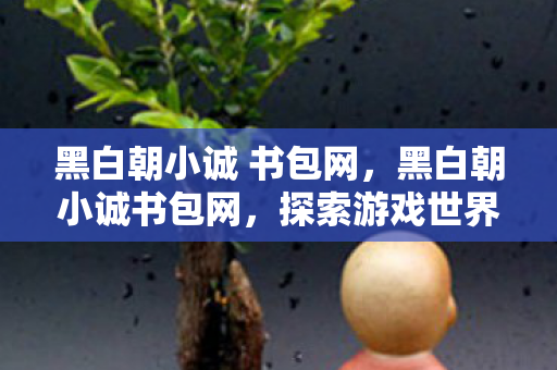 黑白朝小诚 书包网，黑白朝小诚书包网，探索游戏世界的奇妙之旅