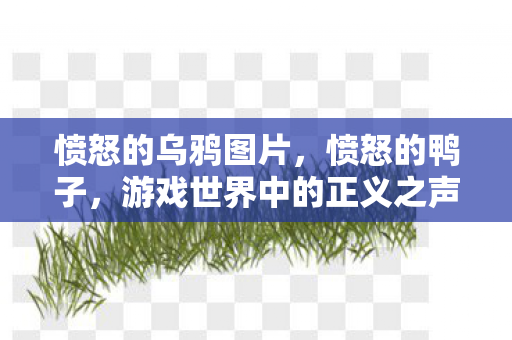 愤怒的乌鸦图片，愤怒的鸭子，游戏世界中的正义之声
