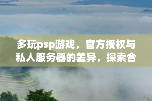 多玩psp游戏,官方授权与私人服务器的差异,探索合法与合规的界限 多玩psp游戏,官方授权与私人服务器的差异,探索合法与合规的界限