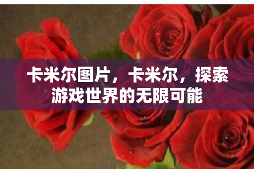 卡米尔图片，卡米尔，探索游戏世界的无限可能