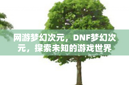 网游梦幻次元，DNF梦幻次元，探索未知的游戏世界