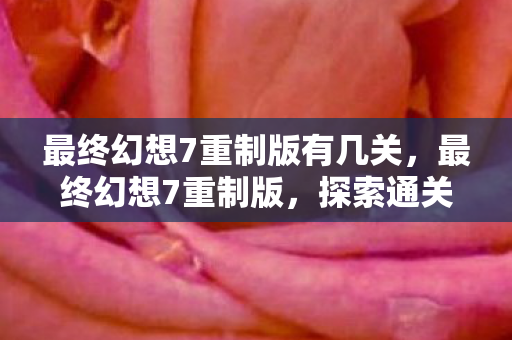 最终幻想7重制版有几关图片