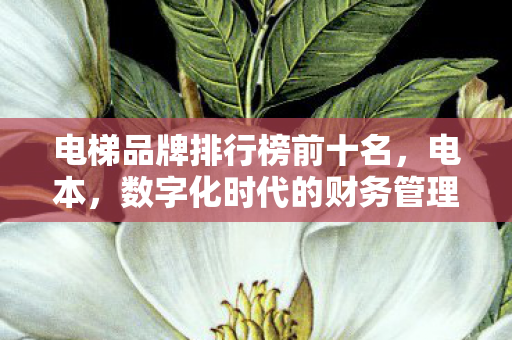 数字化时代的财务管理新篇章图片