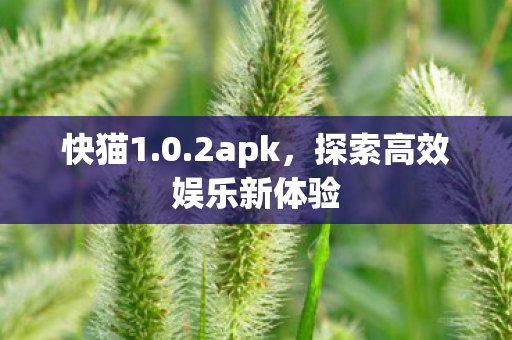 探索高效娱乐新体验图片