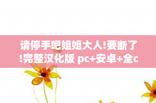 请停手吧姐姐大人!要断了!完整汉化版 pc+安卓+全cg，游戏世界里的温柔劝诫，请停手吧，姐姐大人要断了游戏