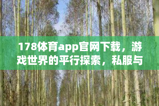 178体育app官网下载,游戏世界的平行探索,私服与官方服务器的独特魅力 178体育app官网下载,游戏世界的平行探索,私服与官方服务器的独特魅力
