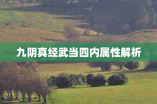 九阴真经武当四内属性解析 九阴真经武当四内属性解析