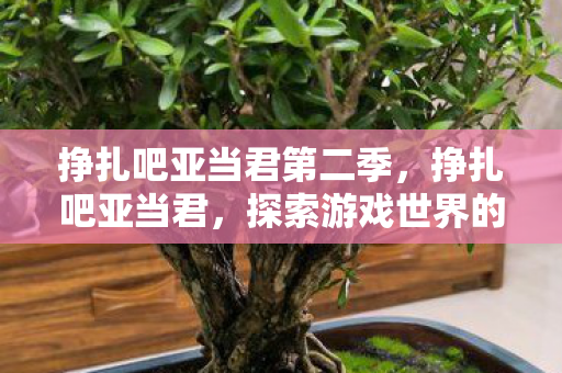 挣扎吧亚当君第二季,挣扎吧亚当君,探索游戏世界的无限可能 挣扎吧亚当君第二季,挣扎吧亚当君,探索游戏世界的无限可能