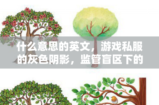 什么意思的英文,游戏私服的灰色阴影,监管盲区下的灰色产业链 什么意思的英文,游戏私服的灰色阴影,监管盲区下的灰色产业链