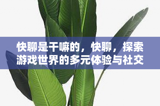 快聊是干嘛的，快聊，探索游戏世界的多元体验与社交互动