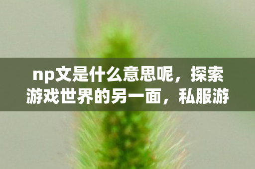 np文是什么意思呢,探索游戏世界的另一面,私服游戏的兴起与影响 np文是什么意思呢,探索游戏世界的另一面,私服游戏的兴起与影响