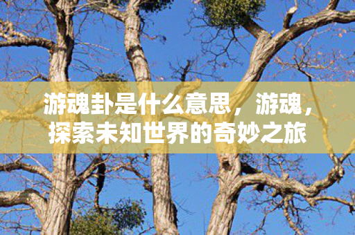 游魂卦是什么意思,游魂,探索未知世界的奇妙之旅 游魂卦是什么意思,游魂,探索未知世界的奇妙之旅