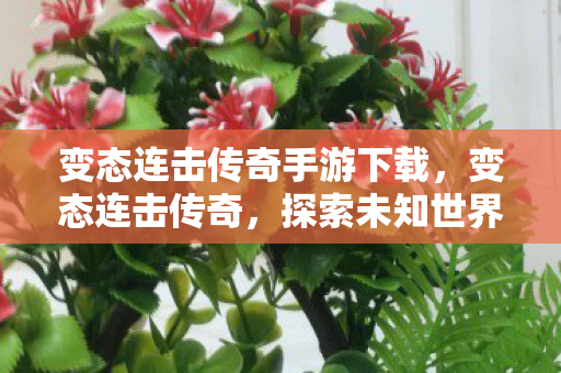 变态连击传奇手游下载,变态连击传奇,探索未知世界的奇幻之旅 变态连击传奇手游下载,变态连击传奇,探索未知世界的奇幻之旅