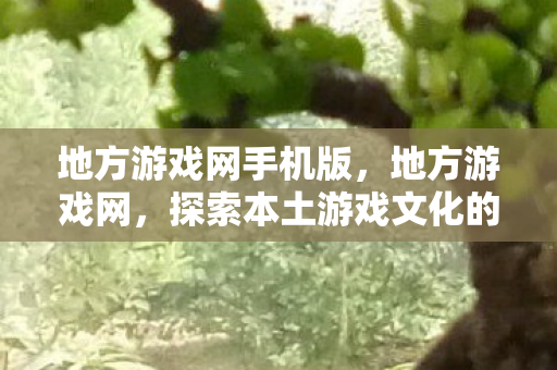 地方游戏网手机版,地方游戏网,探索本土游戏文化的独特魅力 地方游戏网手机版,地方游戏网,探索本土游戏文化的独特魅力