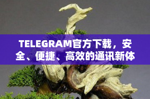 TELEGRAM官方下载,安全、便捷、高效的通讯新体验 TELEGRAM官方下载,安全、便捷、高效的通讯新体验