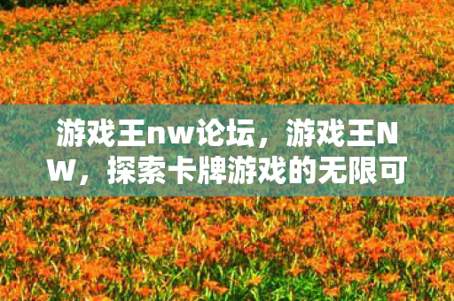 探索卡牌游戏的无限可能图片