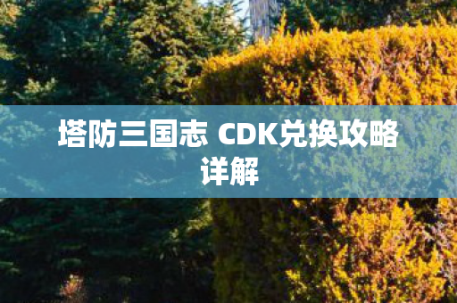 塔防三国志 CDK兑换攻略详解 塔防三国志 CDK兑换攻略详解