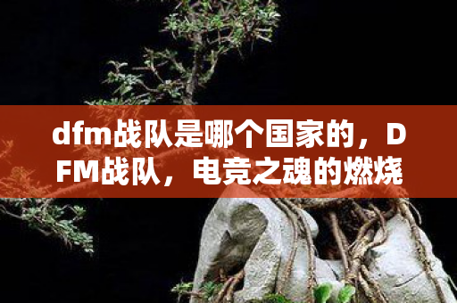 dfm战队是哪个国家的，DFM战队，电竞之魂的燃烧