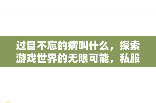 过目不忘的病叫什么,探索游戏世界的无限可能,私服与官方服务器的独特魅力 过目不忘的病叫什么,探索游戏世界的无限可能,私服与官方服务器的独特魅力