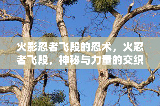 火影忍者飞段的忍术,火忍者飞段,神秘与力量的交织 火影忍者飞段的忍术,火忍者飞段,神秘与力量的交织