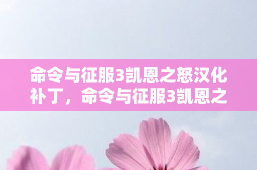 命令与征服3凯恩之怒汉化补丁,命令与征服3凯恩之怒修改器,解锁无限可能的策略游戏新体验 命令与征服3凯恩之怒汉化补丁,命令与征服3凯恩之怒修改器,解锁无限可能的策略游戏新体验