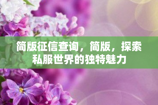 简版征信查询,简版,探索私服世界的独特魅力 简版征信查询,简版,探索私服世界的独特魅力
