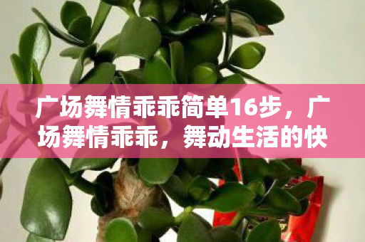 广场舞情乖乖简单16步图片