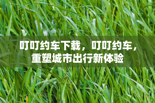叮叮约车下载，叮叮约车，重塑城市出行新体验