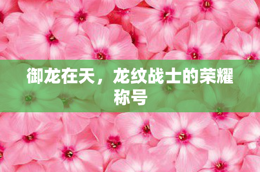 御龙在天,龙纹战士的荣耀称号 御龙在天,龙纹战士的荣耀称号