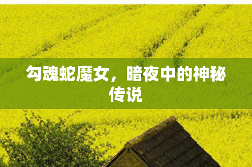 暗夜中的神秘传说图片