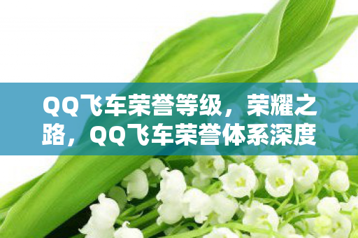 QQ飞车荣誉体系深度解析图片