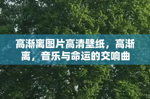 高渐离图片高清壁纸图片