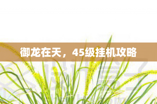 御龙在天,45级挂机攻略 御龙在天,45级挂机攻略