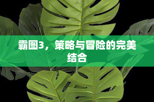 霸图3,策略与冒险的完美结合 霸图3,策略与冒险的完美结合