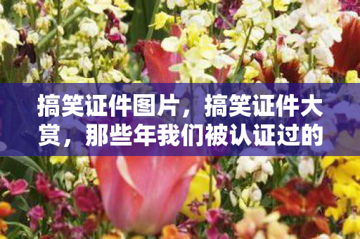 搞笑证件图片,搞笑证件大赏,那些年我们被认证过的奇葩证书 搞笑证件图片,搞笑证件大赏,那些年我们被认证过的奇葩证书