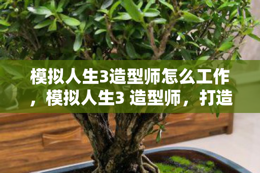 模拟人生3造型师怎么工作,模拟人生3 造型师,打造个性化角色的艺术 模拟人生3造型师怎么工作,模拟人生3 造型师,打造个性化角色的艺术