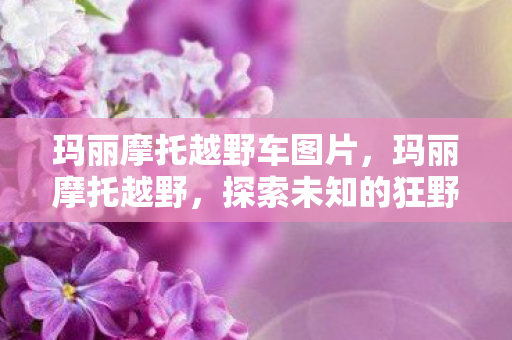 玛丽摩托越野车图片,玛丽摩托越野,探索未知的狂野之旅 玛丽摩托越野车图片,玛丽摩托越野,探索未知的狂野之旅