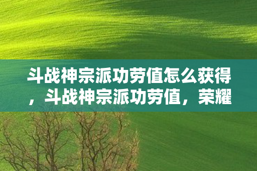 斗战神宗派功劳值怎么获得,斗战神宗派功劳值,荣耀与责任的象征 斗战神宗派功劳值怎么获得,斗战神宗派功劳值,荣耀与责任的象征