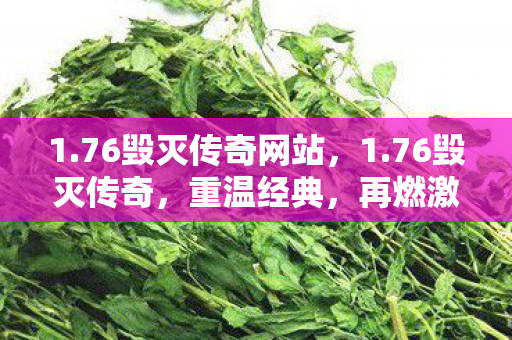 1.76毁灭传奇网站,1.76毁灭传奇,重温经典,再燃激情 1.76毁灭传奇网站,1.76毁灭传奇,重温经典,再燃激情