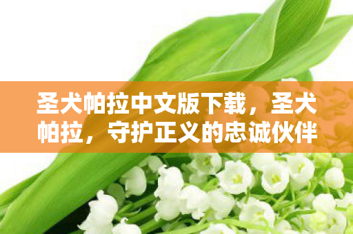圣犬帕拉中文版下载,圣犬帕拉,守护正义的忠诚伙伴 圣犬帕拉中文版下载,圣犬帕拉,守护正义的忠诚伙伴