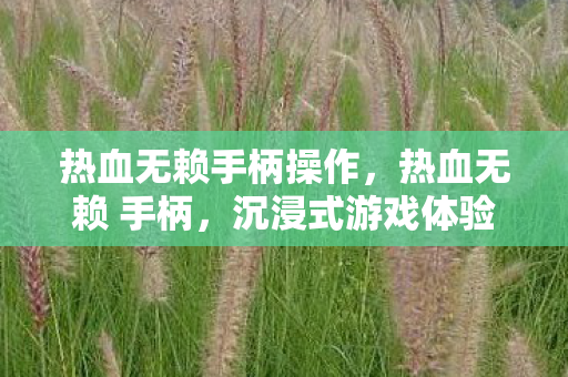 热血无赖手柄操作,热血无赖 手柄,沉浸式游戏体验的新选择 热血无赖手柄操作,热血无赖 手柄,沉浸式游戏体验的新选择