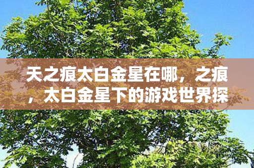 天之痕太白金星在哪,之痕,太白金星下的游戏世界探索 天之痕太白金星在哪,之痕,太白金星下的游戏世界探索
