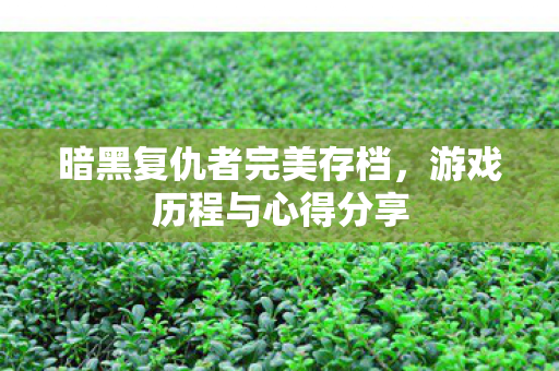暗黑复仇者完美存档,游戏历程与心得分享 暗黑复仇者完美存档,游戏历程与心得分享