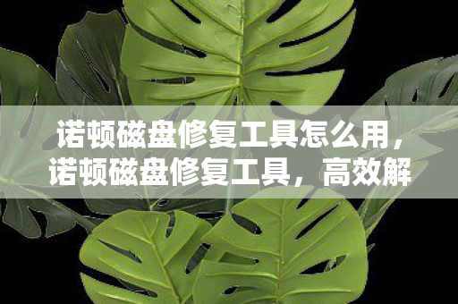 诺顿磁盘修复工具怎么用,诺顿磁盘修复工具,高效解决磁盘问题的利器 诺顿磁盘修复工具怎么用,诺顿磁盘修复工具,高效解决磁盘问题的利器